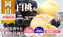 【ふるさと納税】【令和7年発送・先行予約】岡山県産 詰合/白桃(1玉220g以上)2玉・ニューピオーネ(480g以上)2房 化粧箱入り ZZ-19 ※北海道・沖...