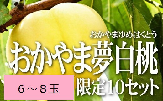 【ふるさと納税】 桃 おかやま夢白桃(6〜8個) FF−35