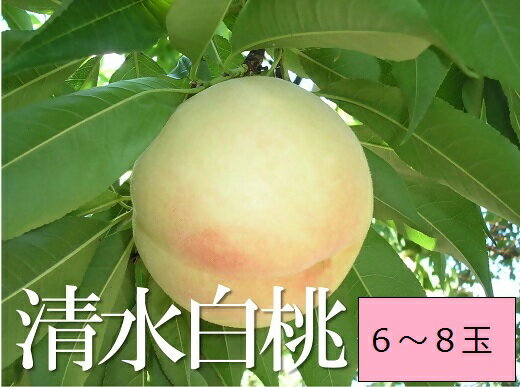 桃 清水白桃(6〜8個・約2.0kg)化粧箱入り
