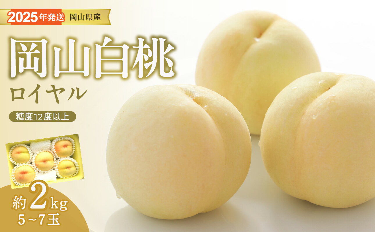 白桃 特秀 ロイヤル 大玉 約2kg 5-7玉 岡山県産 桃 もも 御中元 ギフト 御礼 プレゼント 御礼 御祝 御供 果物 くだもの フルーツ rr-101