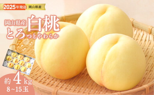 【ふるさと納税】白桃 岡山 秀品 大玉 約4kg 8-15玉 岡山県産 桃 もも 御中元 ギフト 御礼 プレゼント 御礼 御祝 御供 果物 くだもの フルーツ MM-29 【ふるさと納税】白桃 岡山 秀品 大玉 約4kg 8-15玉 岡山県産 桃 もも 御中元 ギフト 御礼 プレゼント 御礼 御祝 御供 果物 くだもの フルーツ MM-29