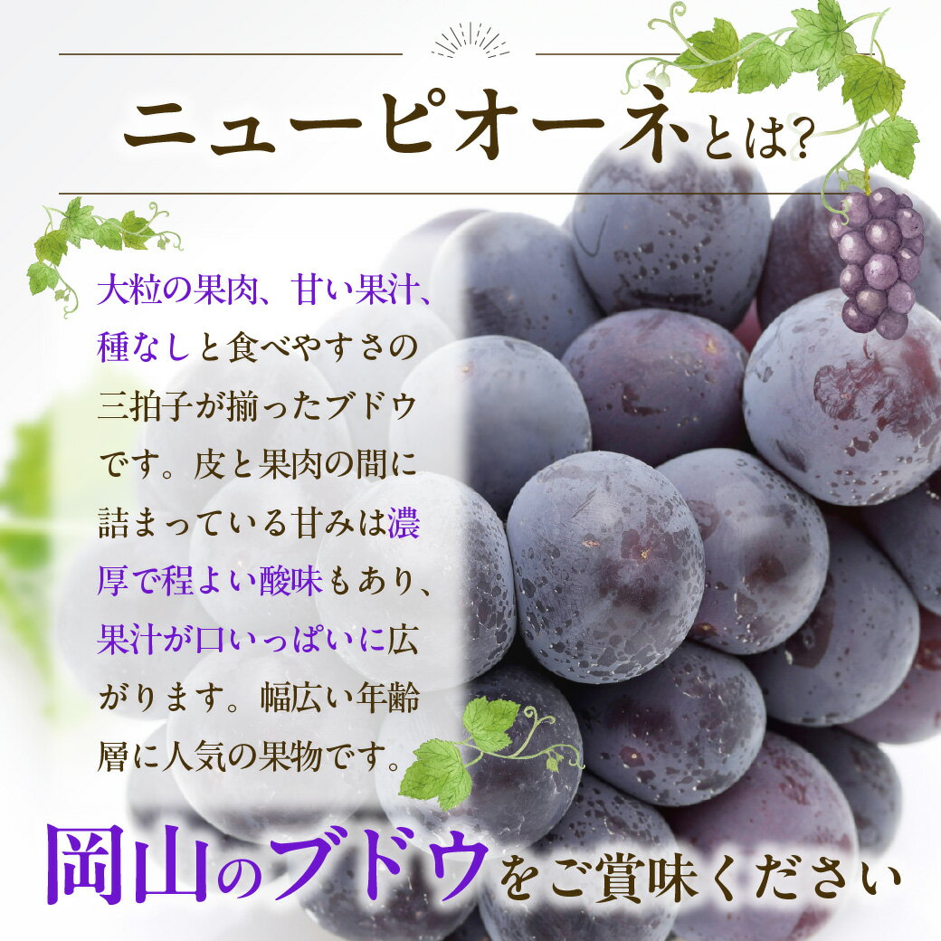 �ڤդ뤵��Ǽ�ǡ����� �˥塼�ԥ����� ���㥤��ޥ����å� ���� ����� 5��ȯ�� ����3�� �֤ɤ�2�� �������������渵 ���ե� ���� �ץ쥼��� ���� ��� �涡 ��ʪ ������� �ե롼�ġ���-21