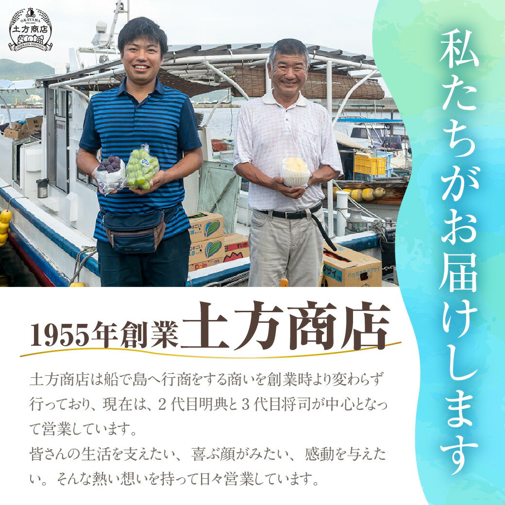 【ふるさと納税】梨 あたご梨 秀品 約4kg 岡山名産 日本一大きな梨 お歳暮 ギフト 御礼 プレゼント 御礼 御祝 御供 果物 くだもの フルーツ　gg-105