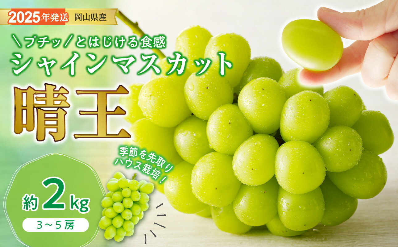 シャインマスカット 晴王 ハウス栽培 約2kg 岡山県産 ぶどう御中元 ギフト 御礼 プレゼント 御礼 御祝 御供 果物 くだもの フルーツ Fg-9