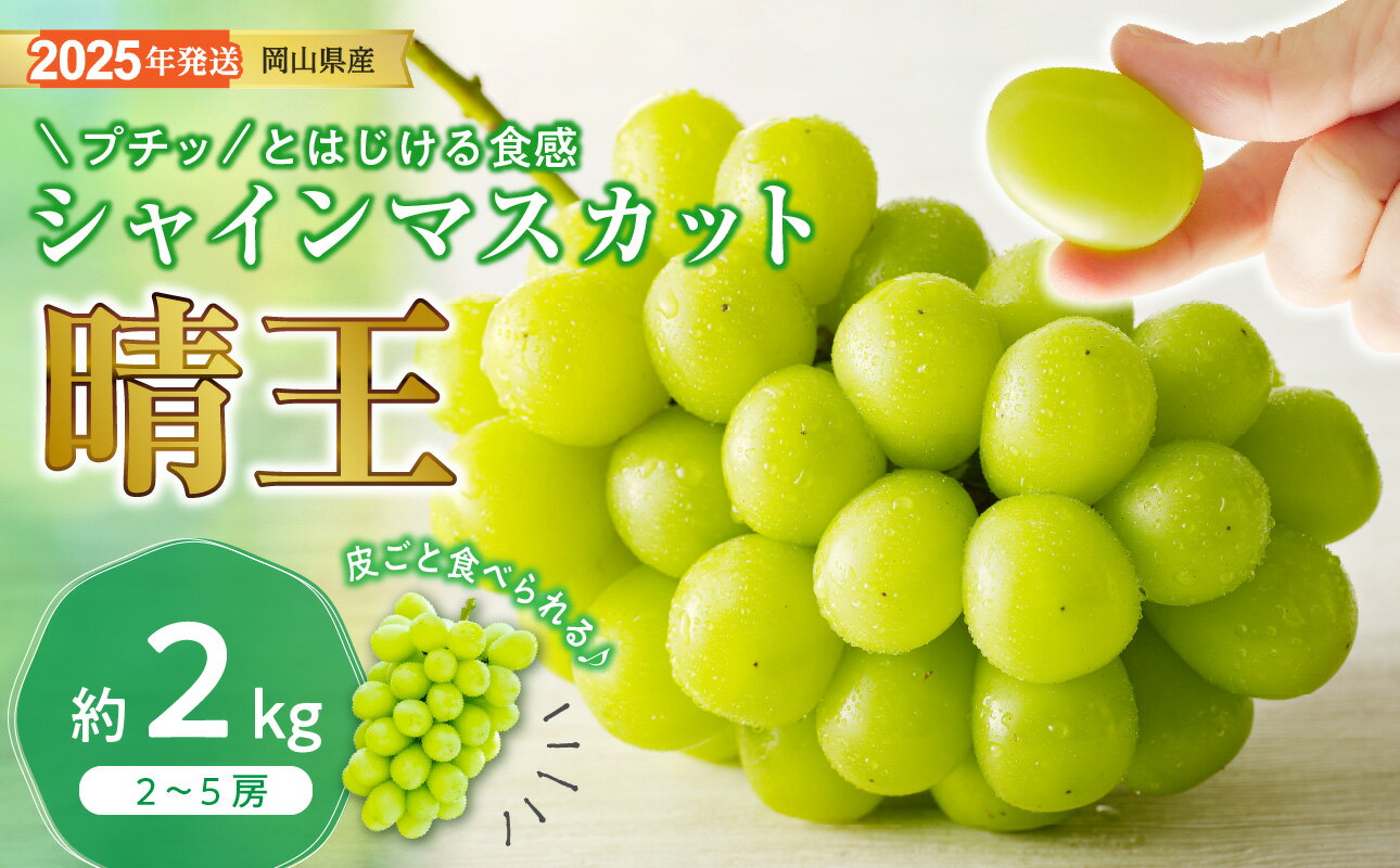 シャインマスカット 晴王 秀品 大房 約2kg 2-5房 岡山県産 ぶどう ギフト 御礼 プレゼント 御礼 御祝 御供 果物 くだもの フルーツ hh-106