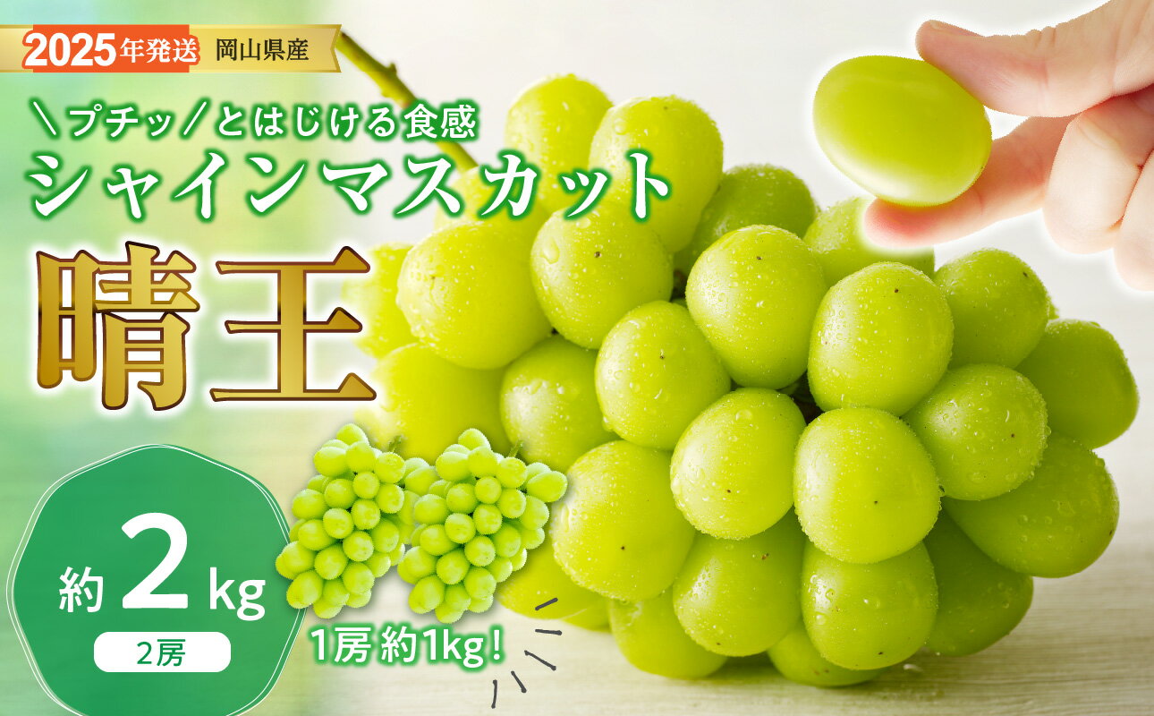 シャインマスカット 晴王 秀品 特大 約2kg 2房 岡山県産 ぶどう ギフト 御礼 プレゼント 御礼 御祝 御供 果物 くだもの フルーツ GG-9