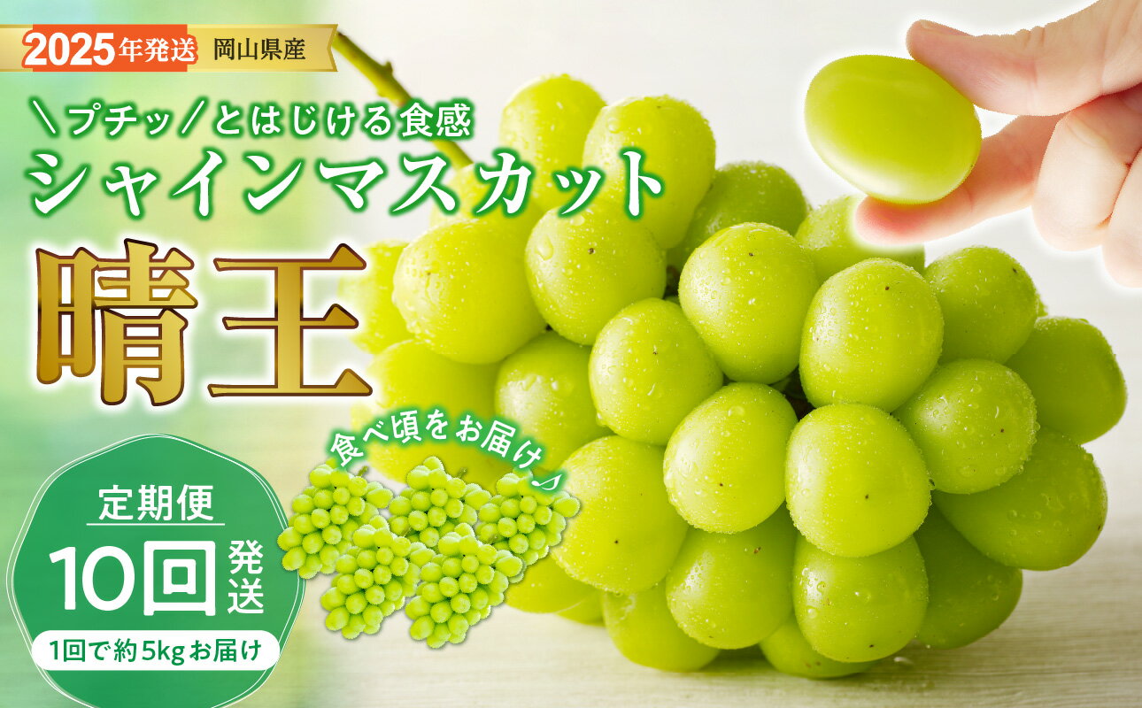 シャインマスカット 晴王 定期便 秀品 大房 約5kg 5-9房 10回発送 岡山県産 ぶどう ギフト 御礼 プレゼント 御礼 御祝 御供 果物 くだもの フルーツ QQ-2