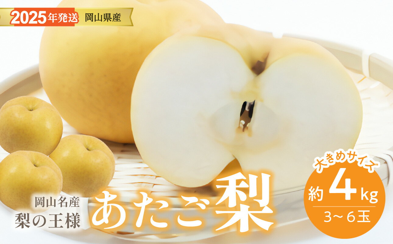 梨 あたご梨 秀品 約4kg 岡山名産 日本一大きな梨 お歳暮 ギフト 御礼 プレゼント 御礼 御祝 御供 果物 くだもの フルーツ gg-105