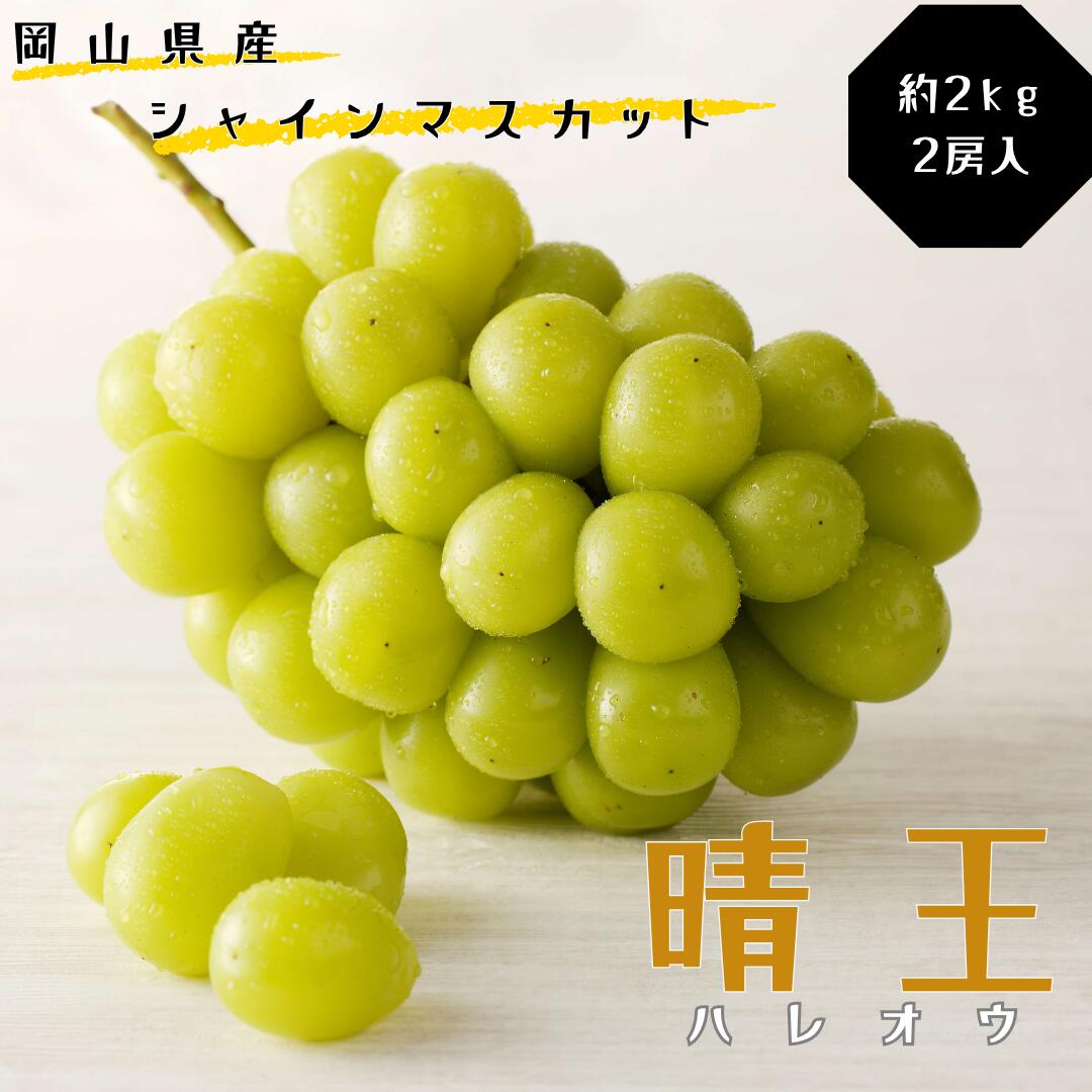 シャインマスカット 晴王 秀品 特大 約2kg 2房 岡山県産 ぶどう ギフト 御礼 プレゼント 御礼 御祝 御供 果物 くだもの フルーツ 土-28