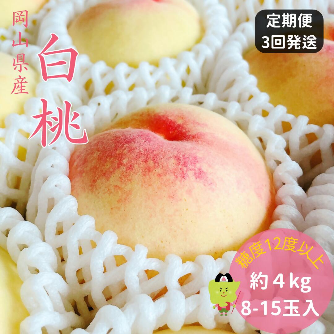 �ڤդ뤵��Ǽ�ǡ����� �ý� ������� ��� ����� ��4kg 3��ȯ�� �������� �� ��� ���渵 ���ե� ���� �ץ쥼��� ���� ��� �涡 ��ʪ ������� ...