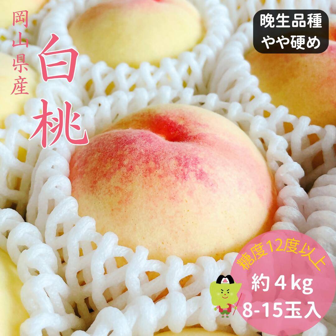 【ふるさと納税】白桃 特秀 ロイヤル 大玉 晩生品種 4kg 岡山県産 桃 もも 御中元 ギフト 御礼 プレゼント 御礼 御祝 御供 果物 くだもの フルーツ 土-19