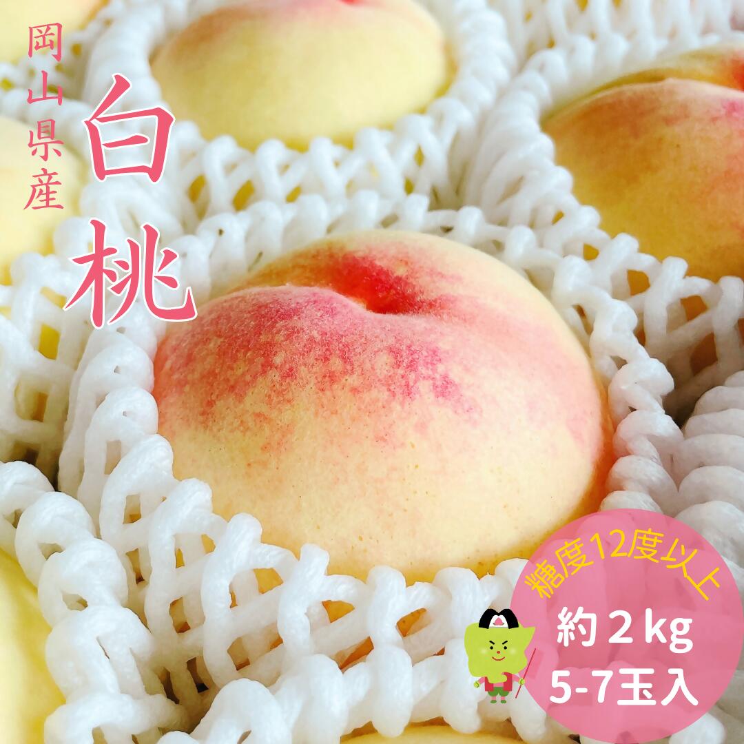 �ڤդ뤵��Ǽ�ǡ����� �ý� ������� ��� ��2kg 5-7�� �������� �� ��� ���渵 ���ե� ���� �ץ쥼��� ���� ��� �涡 ��ʪ ������� �ե롼��...