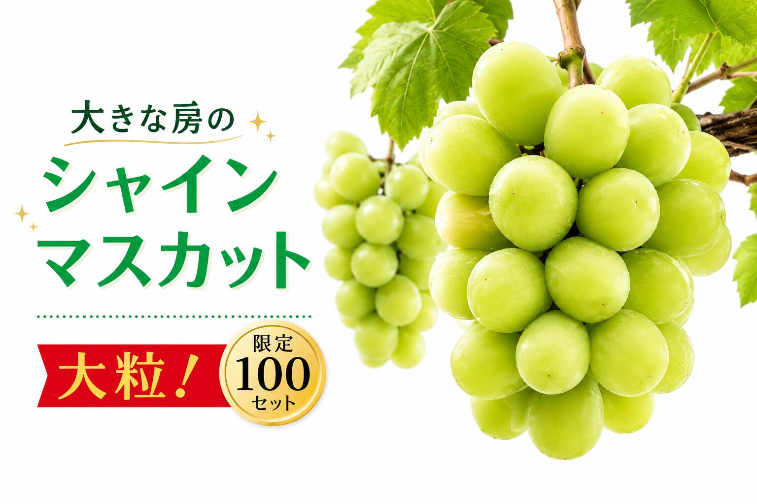 シャインマスカット 1房 大房 甘い 贈答 ギフト ぶどう フルーツ 果物 数量限定 送料無料 産地直送 [2026年発送]