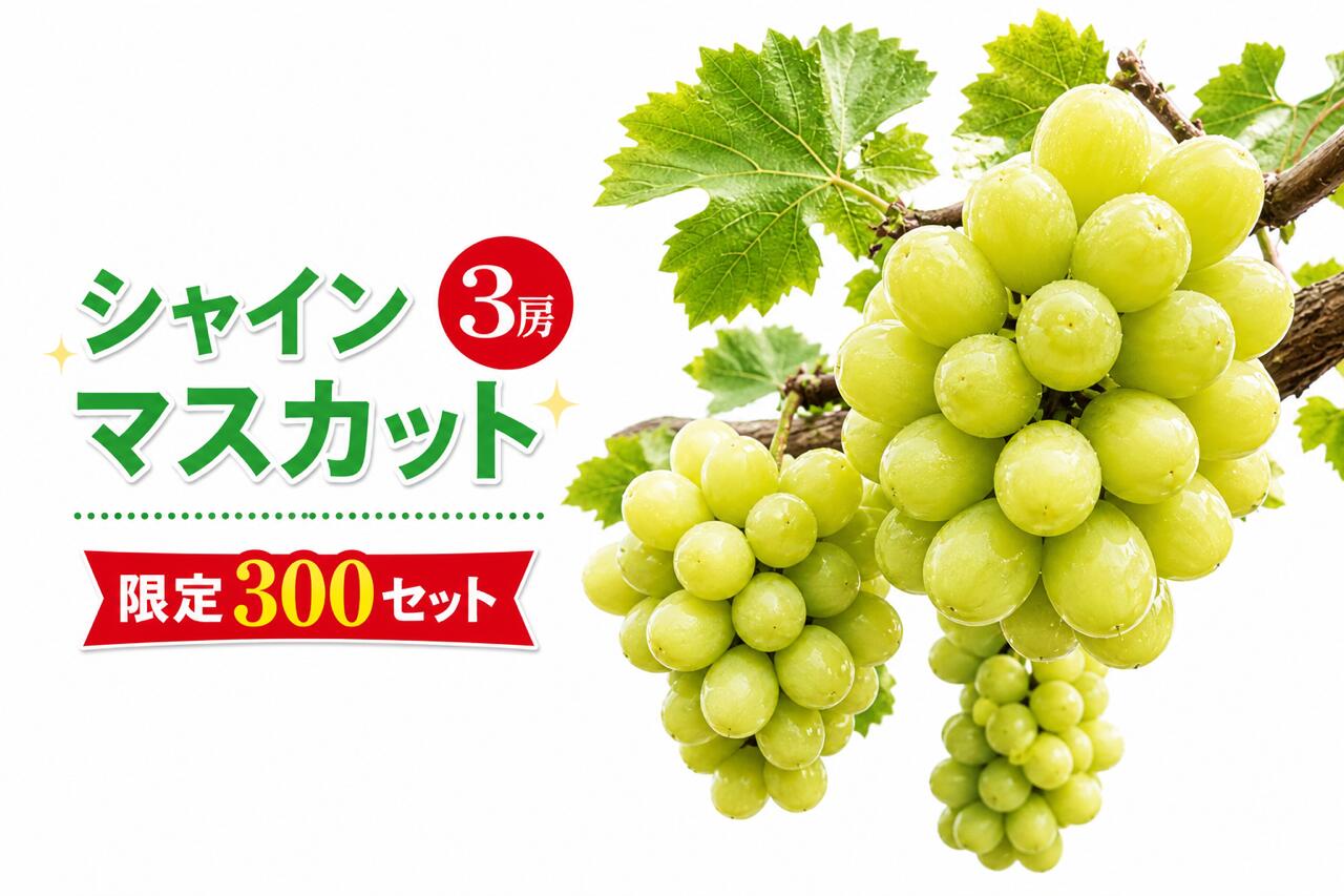シャインマスカット 3房 優品 | ぶどう フルーツ ハウス栽培 | 送料無料 産地直送 岡山県産