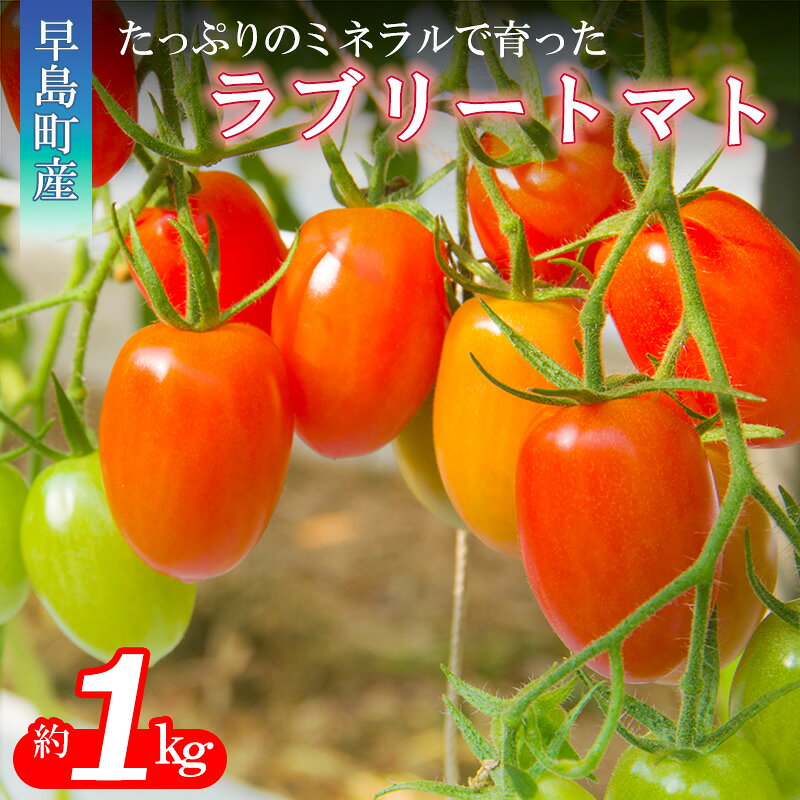早島町産 ミネラルで育ったラブリートマト（1箱）