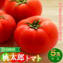 12位! 口コミ数「0件」評価「0」早島町産　ミネラルで育った桃太郎トマト（大玉5玉）