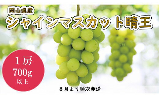 8位! 口コミ数「0件」評価「0」岡山県産　シャインマスカット「晴王」（1房700g以上）1房入り（WFH）