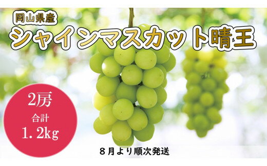 岡山県産　シャインマスカット「晴王」(1房600g以上）2房入り（WFH）