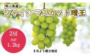 30位! 口コミ数「0件」評価「0」岡山県産　シャインマスカット「晴王」(1房600g以上）2房入り（WFH）