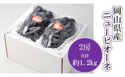 岡山県産　ニューピオーネ（1房600g以上）2房入り（WFH）