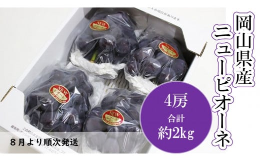 岡山県産　ニューピオーネ（1房480g以上・約2kg）4房入り（WFH）