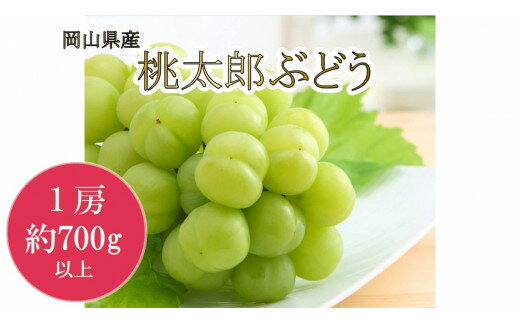 岡山県産 桃太郎ぶどう(700g以上)1房入り(WFH)