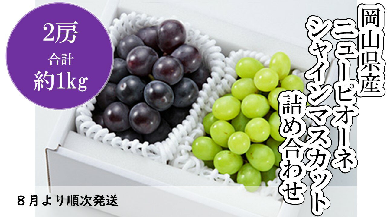 11位! 口コミ数「0件」評価「0」岡山県産　ニューピオーネ1房・シャインマスカット1房詰合せ（WFH）