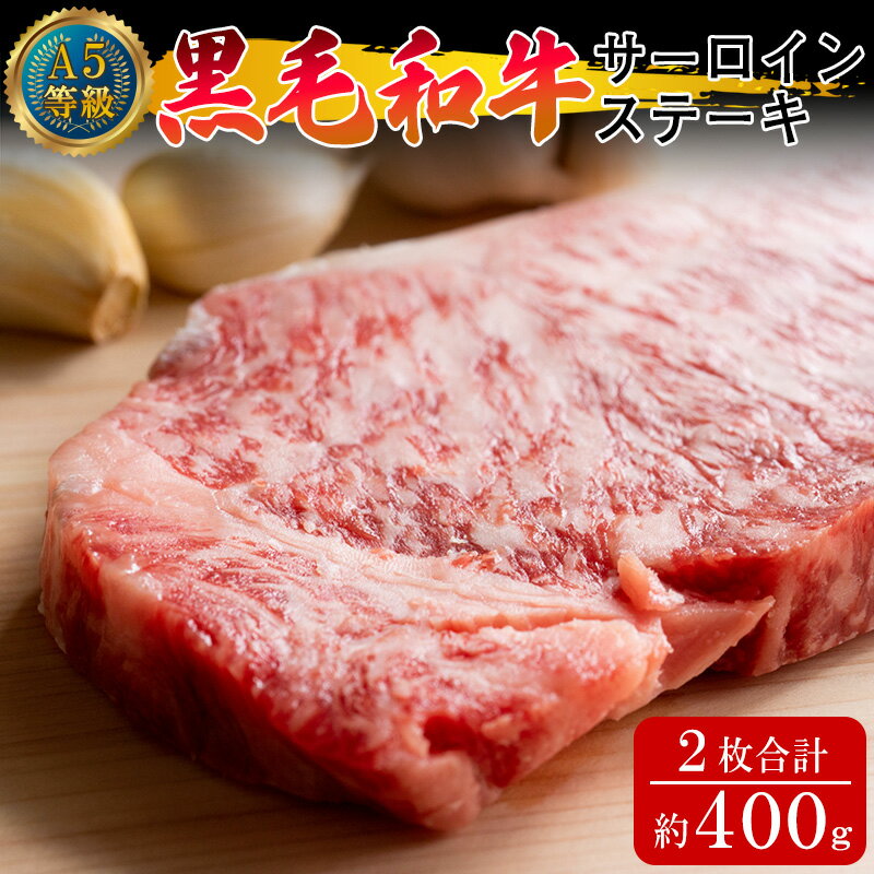 A5等級 黒毛和牛 サーロインステーキ 約400g(約200g×2枚)岡山県産(WFH)