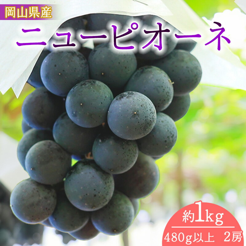 【ふるさと納税】岡山県産 ニューピオーネ(1房480g以上・約1kg)2房入り(WFH)