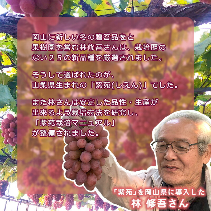 岡山県早島町の画像3