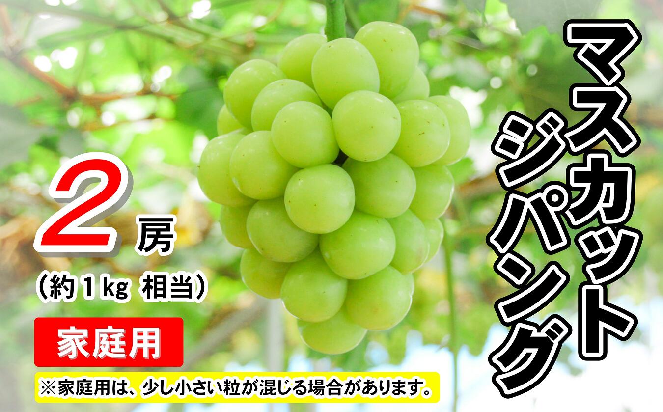 名称 マスカットジパング （5条1号） 内容量 約1kg程度（2房） 事業者 林果樹園 消費期限 5日程度（配送期間含む） 発送時期 9月中旬から10月下旬に順次配送致します。 ※最も美味しいタイミングで発送することから、発送希望日の指定は...