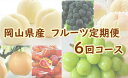 6位! 口コミ数「0件」評価「0」岡山県産　フルーツ定期便 6回コース（山博）