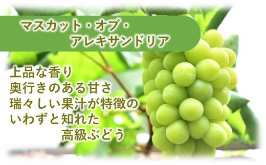 岡山県早島町の画像2