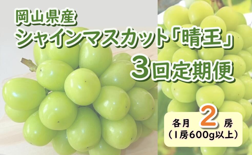 岡山県産　シャインマスカット『晴王』3回定期便 各月2房（1房600g以上）（山博）