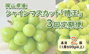 【ふるさと納税】岡山県産　シャインマスカット『晴王』3回定期便 各月2房（1房600g以上）（山博）