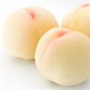 【ふるさと納税】【ご家庭用】岡山県産 おかやま夢白桃 約2kg(6〜7玉) 【果物・もも・フルーツ・果物類】 お届け:2020年7月上旬〜2020年7月下旬
