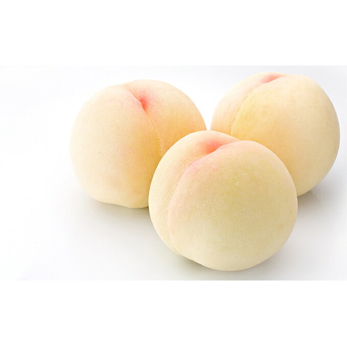 【ふるさと納税】【ご家庭用】岡山県産　白桃「白麗」約2kg（7〜8玉）　【果物・もも・フルーツ・果物類】　お届け：2020年7月中旬〜2020年8月中旬