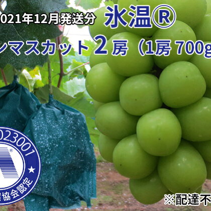 黒川農園 氷温貯蔵 シャインマスカット 2房(合計1.4kg以上) 【配達不可:北海道、沖縄県、離島】 【果物類・ぶどう・マスカット・フルーツ・果物】 お届け:2020年11月上旬〜2020年12月下旬