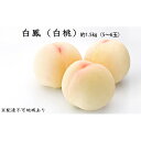 【ふるさと納税】岡山県産 白鳳(白桃)約1.5kg(5〜6玉