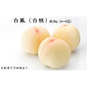 【ふるさと納税】岡山県産 白鳳(白桃)約2kg(6〜8玉)【