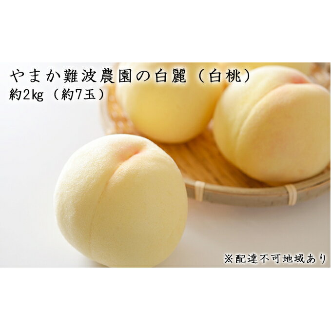 想像を超えての ふるさと納税 やまか難波農園 岡山県産 白麗 白桃 約2kg 約7玉 配達 北海道 沖縄 離島 果物 もも 桃 フルーツ 果物類 お届け 21年8月1日 21年8月15日 在庫限り Thakurgaon Police Gov