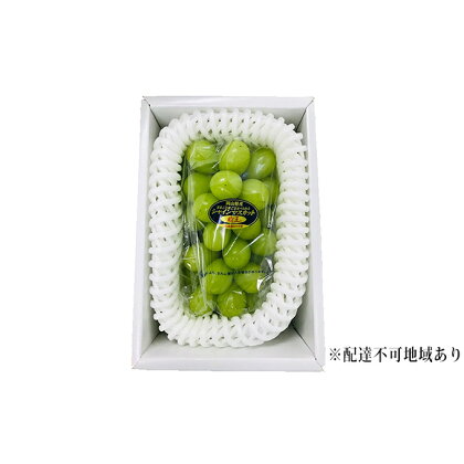 限定100 岡山県倉敷市船穂産 シャインマスカット 晴王 厳選 約750g 大房【6月発送】 【果物類・ぶどう・マスカット・ブドウ・フルーツ・シャインマスカット・晴王・約750g】 お届け:2022年6月中旬〜2022年6月下旬