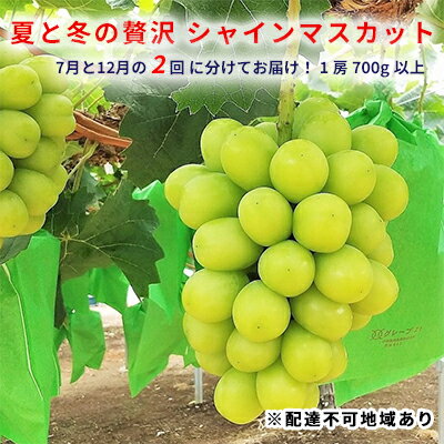 夏と冬の贅沢 シャインマスカット 7月と12月に分けてお届け! 【定期便・果物類・ぶどう・マスカット・シャインマスカット・フルーツ・皮ごと・種無し】 お届け:1回目2022年7月10日〜20日 2回目11月27日〜12月12日