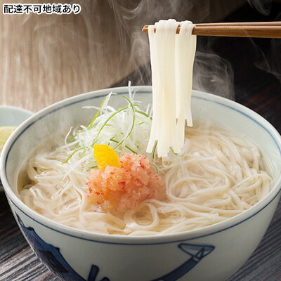 手延べ 極細うどん 絹ひめと特製だし詰合せ8食 [麺類・うどん・乾麺] お届け:準備でき次第、順次発送いたします。