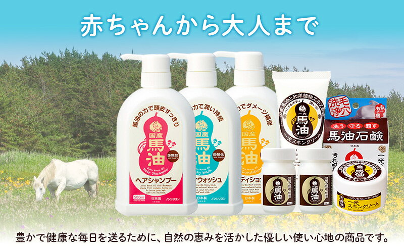【ふるさと納税】一光 馬油 ボディウォッシュ 2本セット スキンケア 美容 コスメ 送料無料 液体せっけん 石鹸 馬油ボディウォッシュ 　お届け：準備でき次第、順次発送いたします。