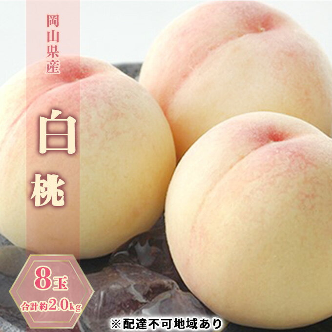 桃 2024年 先行予約 白桃 8玉 合計約2.0kg もも モモ 岡山県産 国産 フルーツ 果物 ギフト [果物・もも・桃・フルーツ・果物類・白桃] お届け:2024年7月上旬〜2024年7月下旬