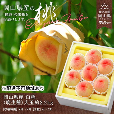 【ふるさと納税】桃 2025年 先行予約 白桃 晩生種 大玉 約2.2kg 6~7玉 岡山県 フルーツ もも 桃 モモ ピーチ 人気 新鮮 フルーツ 桃 デザート フルーツ もも 桃 モモ ギフト くだもの 桃 もも 果物 フルーツ 桃 もも お届け:2025年8月上旬~2025年9月中旬
