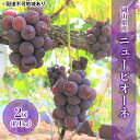 【ふるさと納税】ぶどう 2024年 先行予約 ニューピオーネ （ 種無し ）約1kg（2房） ブドウ 葡萄 岡山県 国産 フルーツ 果物 ギフト　【果物・ぶどう・フルーツ・果物類・ブドウ】　お届け：2024年9月上旬～2024年9月中旬