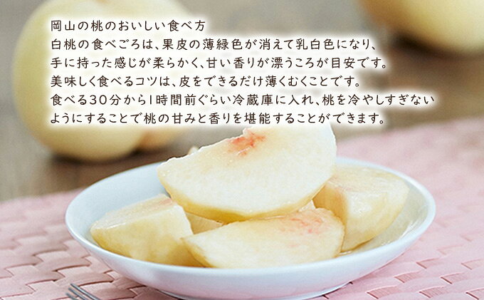 【ふるさと納税】桃 先行予約 2026年 約2kg 6～7玉 岡山県産 白麗 白桃 果物 フルーツ はくとう 岡山の桃 里庄町 岡山 贈答用　お届け：2027年8月上旬～2027年8月中旬 f334456-satosho-10000333 岡山県里庄町 サンプル画像3