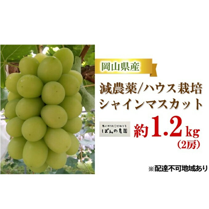 【ふるさと納税】ぶどう 2024年 先行予約 シャイン マスカット 約1.2kg 2房 減農薬／ハウス栽培 ブドウ 葡萄 岡山県産 国産 フルーツ 果物 ギフト ばんの農園　【果物類 フルーツ シャインマスカット 約1.2kg】　お届け：2024年9月上旬～2024年10月上旬